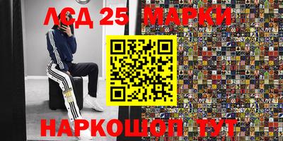 амфетамин Гатчина
